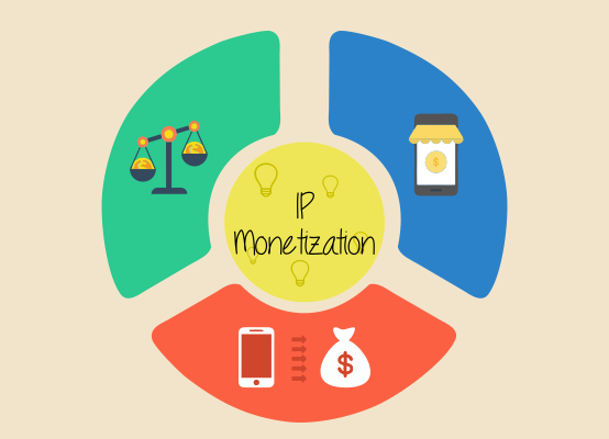 IP Monetization Page